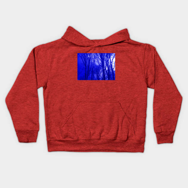 VELVET WOOD: Blue Kids Hoodie by Danny Germansen